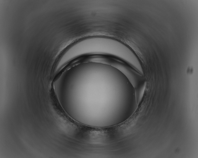 X0000091710160200708241255