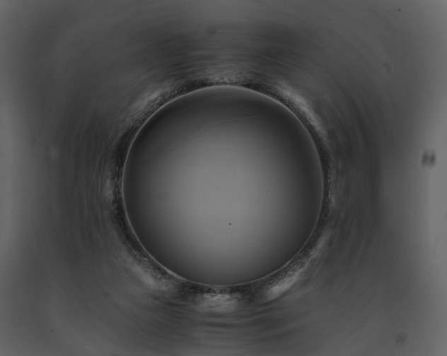 X0000091710161200708241255