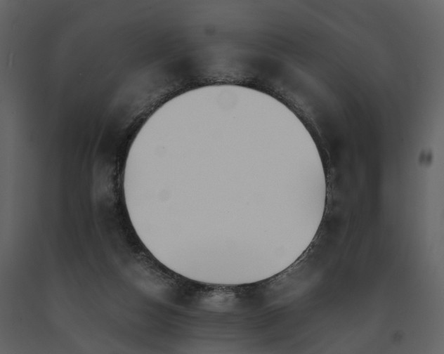 X0000091710162200708241255