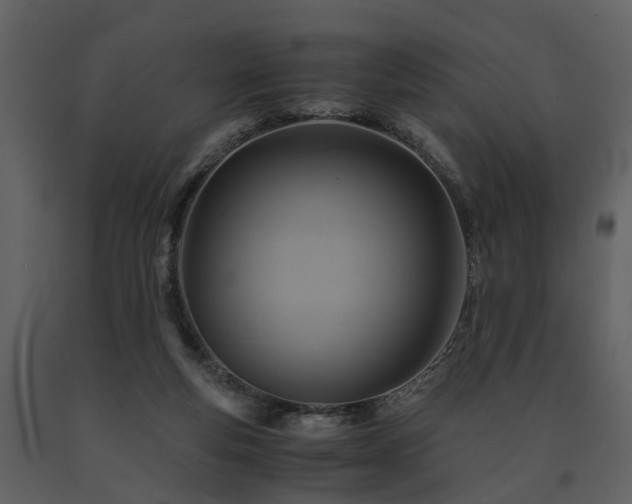 X0000091710163200708241255