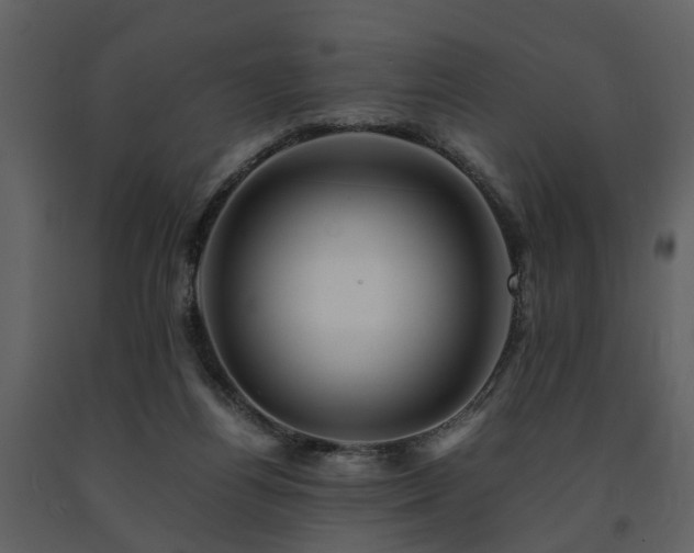 X0000091710164200708241255