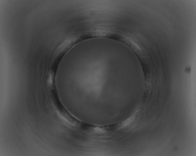 X0000091710166200708241255