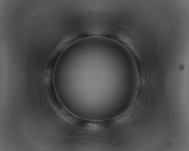 X0000091710167200708241255