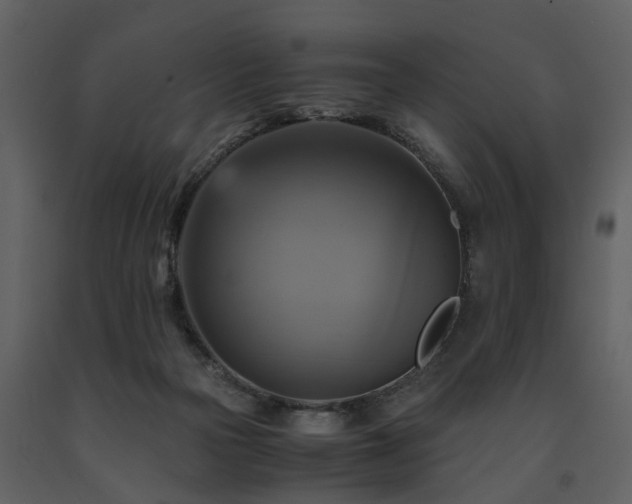 X0000091710169200708241255