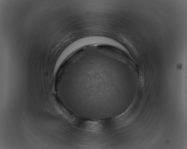 X0000091710170200708241255