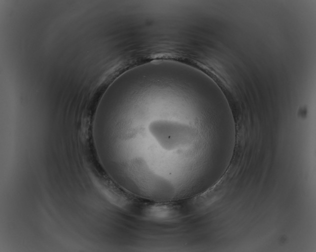 X0000091710171200708241255