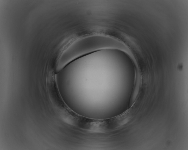 X0000091710172200708241255