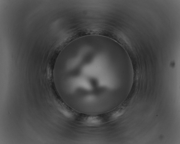 X0000091710173200708241255