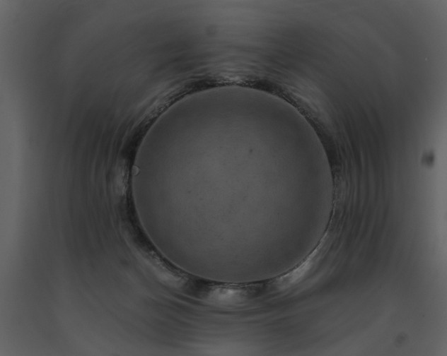 X0000091710174200708241255