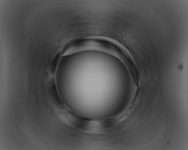 X0000091710176200708241255