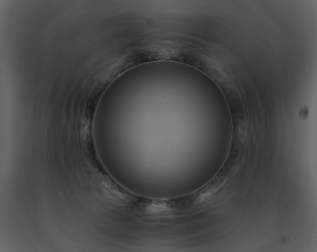 X0000091710177200708241255