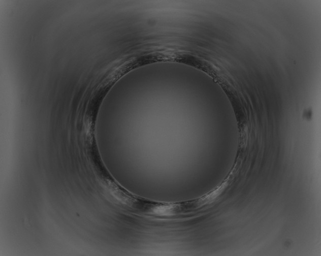 X0000091710178200708241255