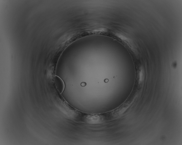 X0000091710181200708241255