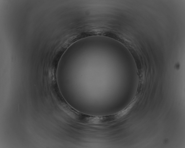 X0000091710182200708241255