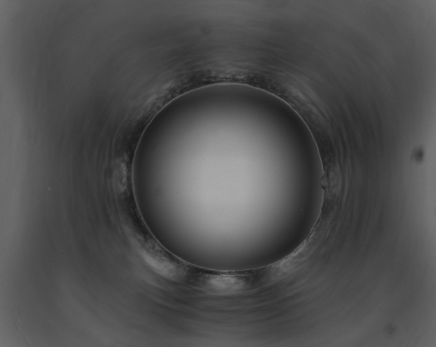 X0000091710183200708241255