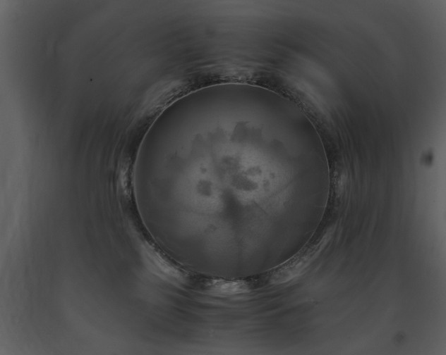 X0000091710185200708241256