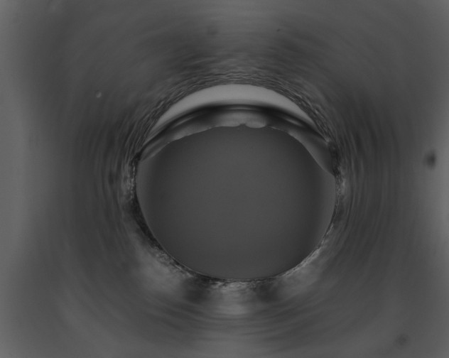 X0000091710186200708241256