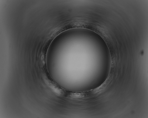 X0000091710187200708241256