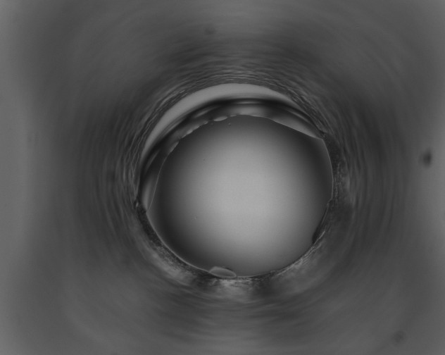 X0000091710188200708241256