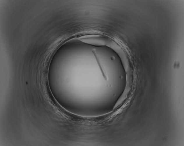 X0000091710193200708241255