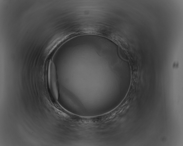 X0000091710194200708241255