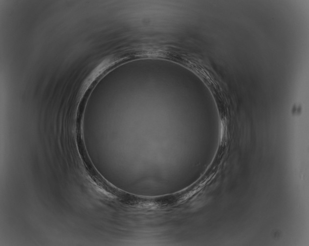 X0000091710195200708241255