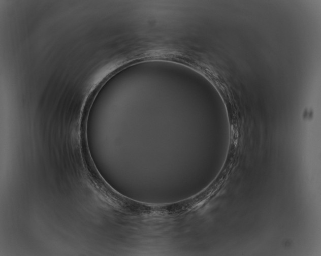 X0000091710196200708241255