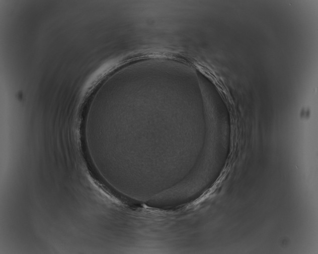 X0000091710197200708241255