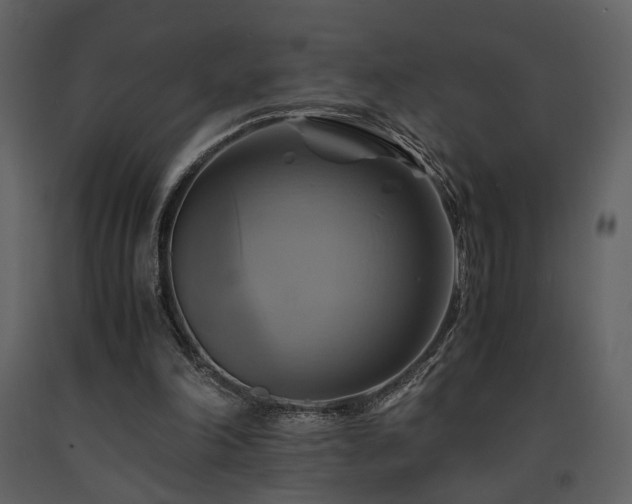 X0000091710198200708241255