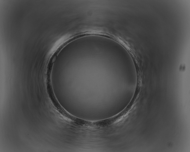 X0000091710199200708241255