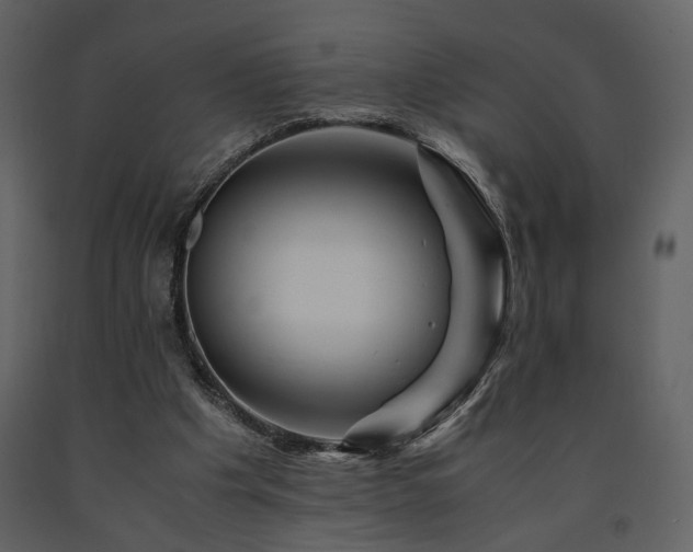 X0000091710201200708241255