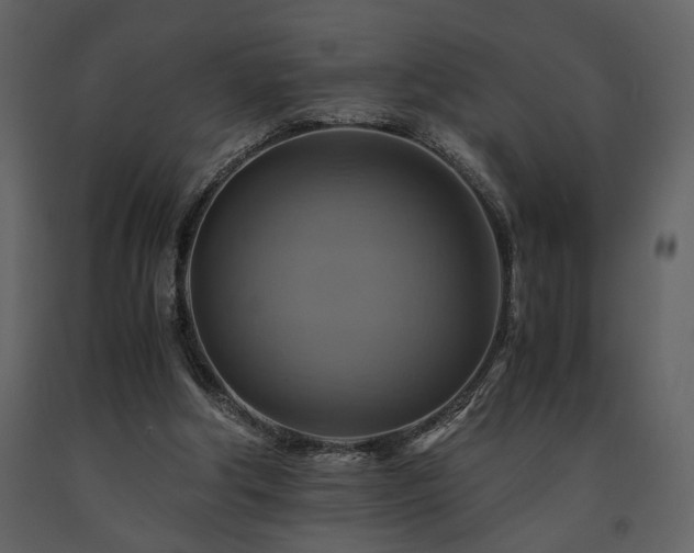 X0000091710202200708241255