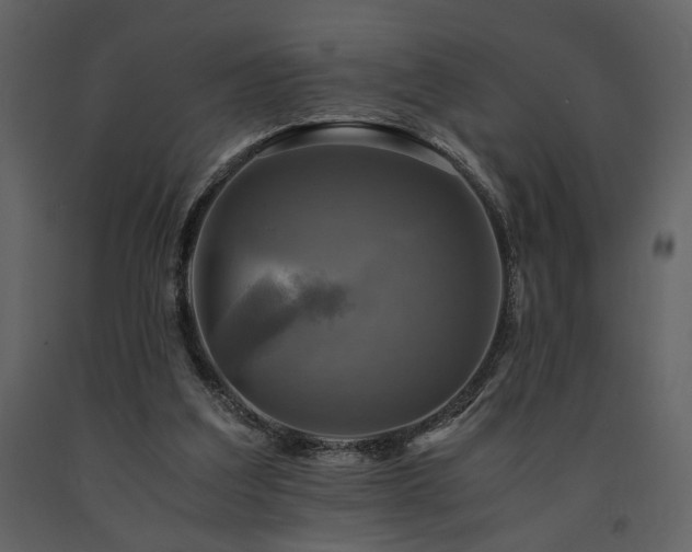 X0000091710203200708241255