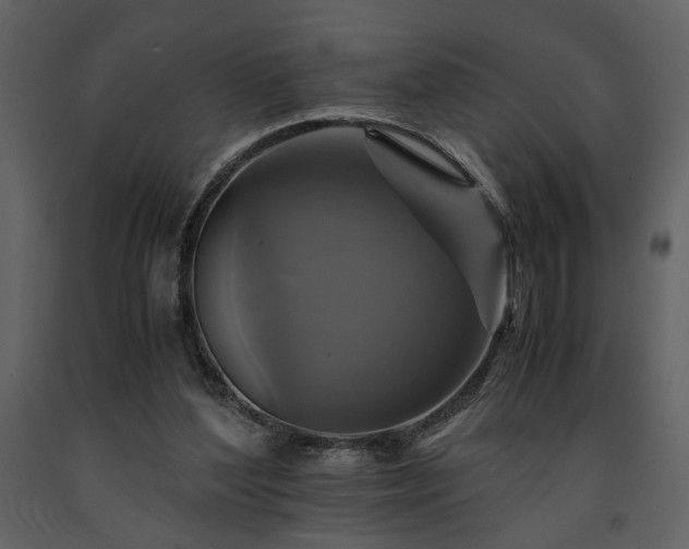 X0000091710204200708241255