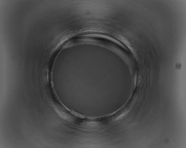 X0000091710205200708241255