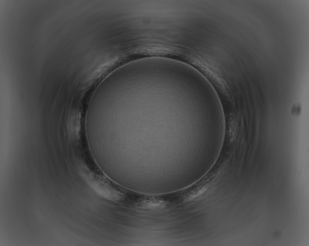 X0000091710206200708241255