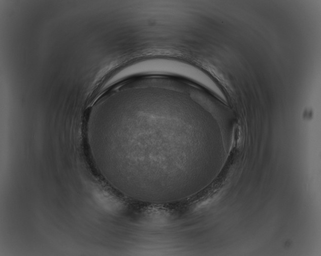 X0000091710207200708241255