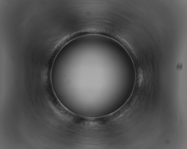 X0000091710208200708241255