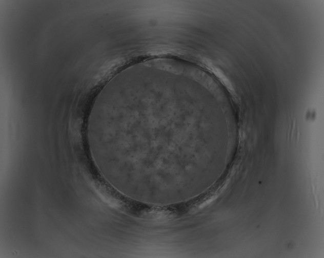 X0000091710209200708241255