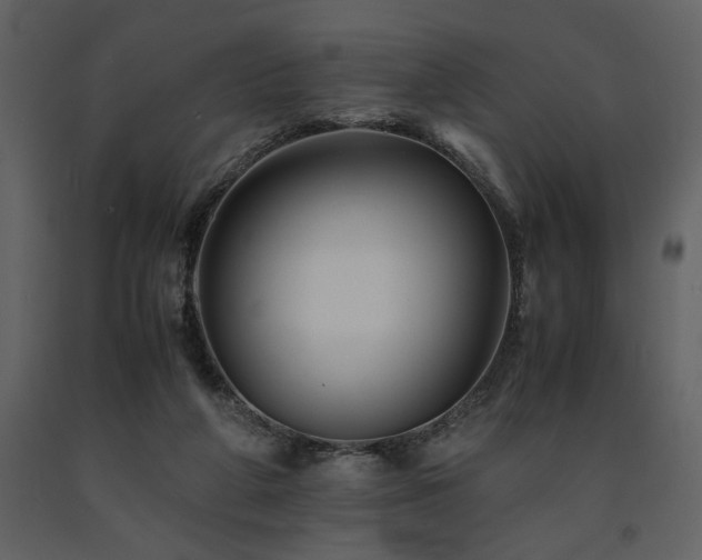 X0000091710210200708241255