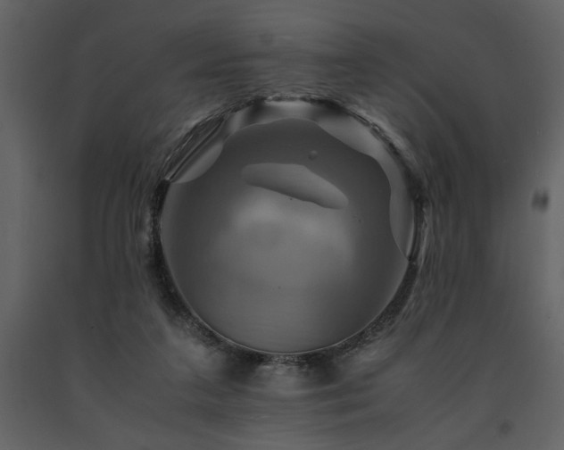 X0000091710211200708241255