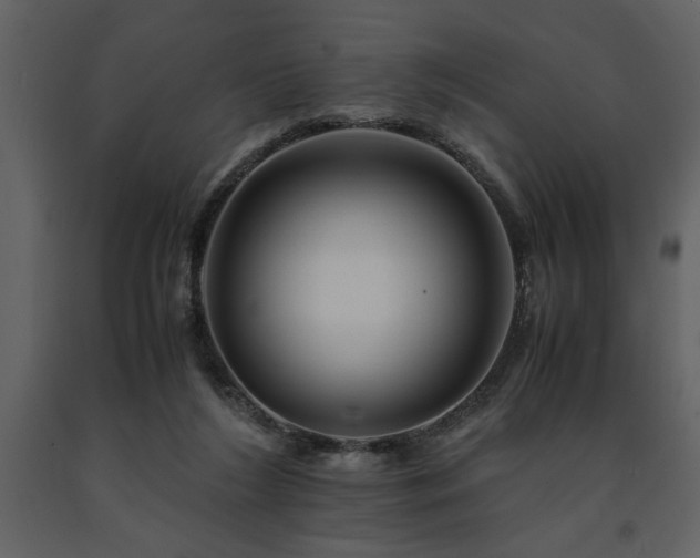 X0000091710212200708241255