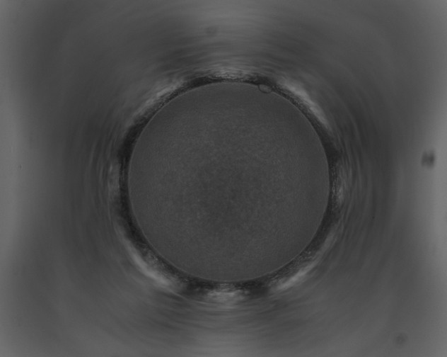 X0000091710213200708241255