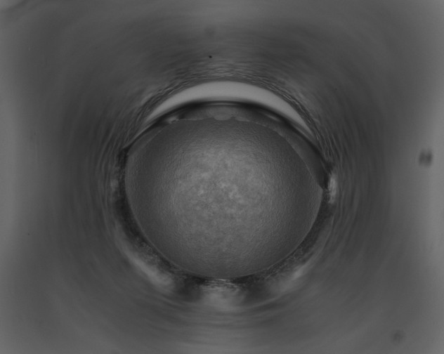 X0000091710215200708241255