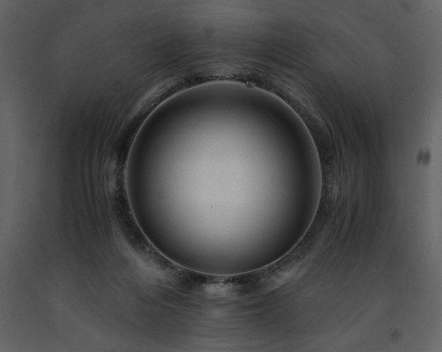 X0000091710216200708241255