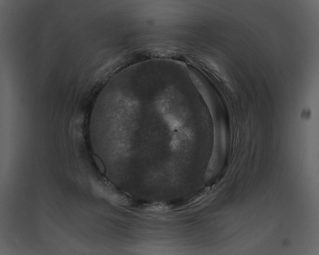 X0000091710217200708241255