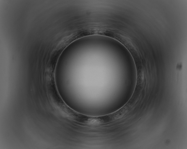 X0000091710218200708241255