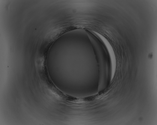 X0000091710219200708241255