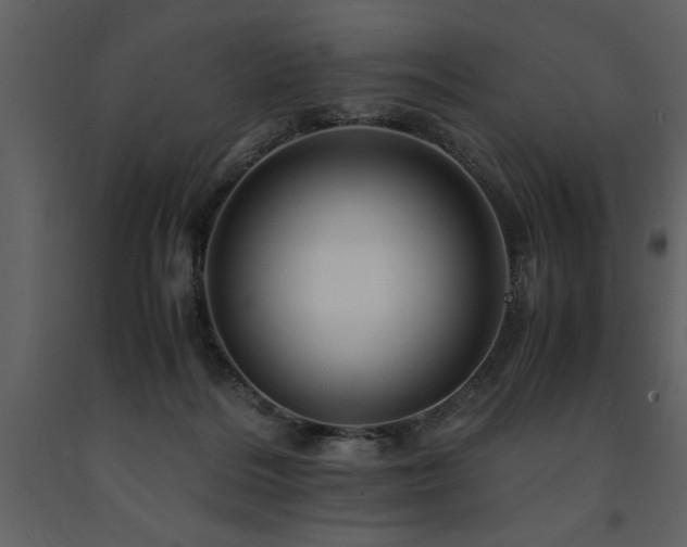 X0000091710220200708241255