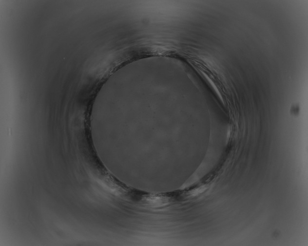 X0000091710221200708241255